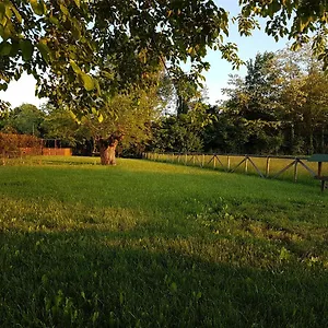Inn Veneta, Vicenza